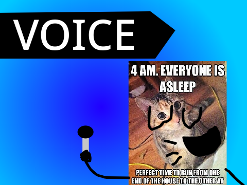 cat meme voice application (accepted)