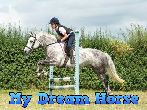 My Dream Horse
