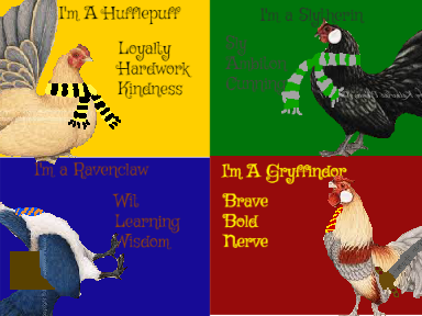 What House are you In? remix because Ravenclaw