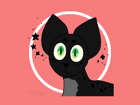 Cat for @petqueen4