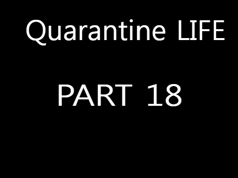 Quarantine LIFE | 18