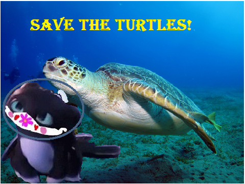 Save the turtles!