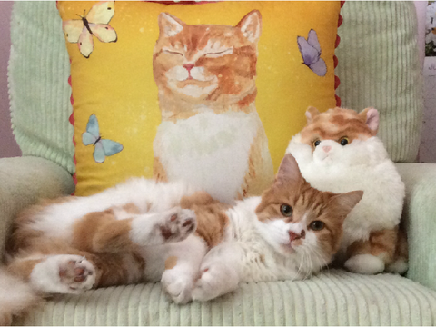  Turbo in the chair with the other Turbos! 