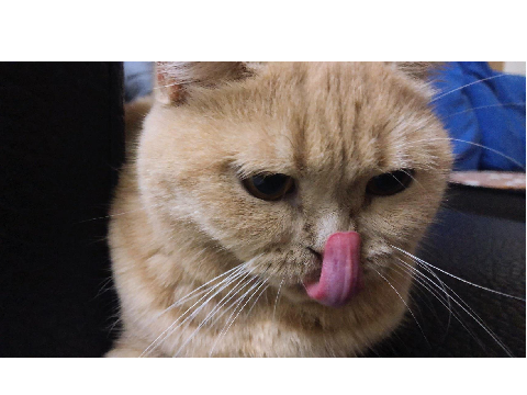 Sup