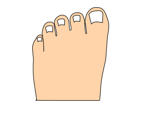 toe