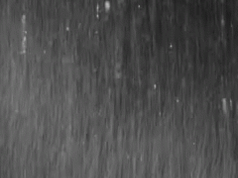 My Thumbnail Drenching In Rain