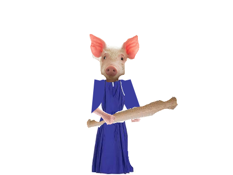 piggy skins in real life