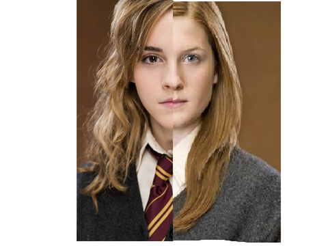 Ginny or Hermione?