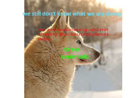save the endangered animals