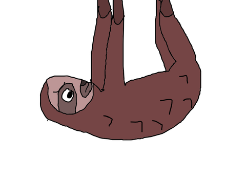 ナマケモノ？