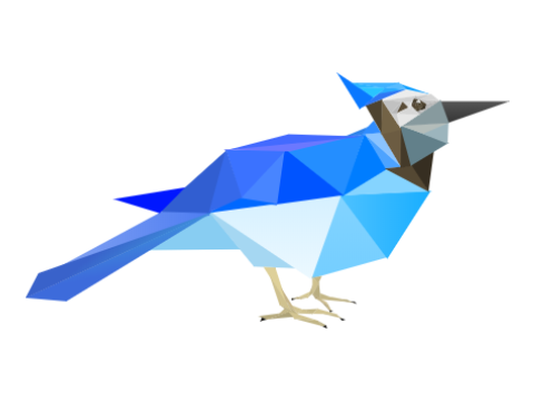 Blue Jay - Poly Art