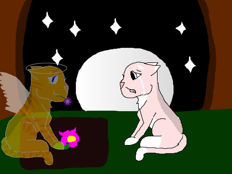 For @-CinderMoon- Add-Ons