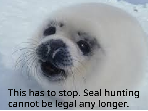 Save The Seals! PLEASE! remix remix