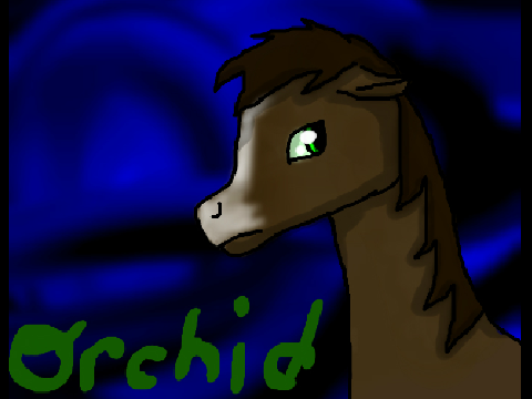 AT with RedMoonNight