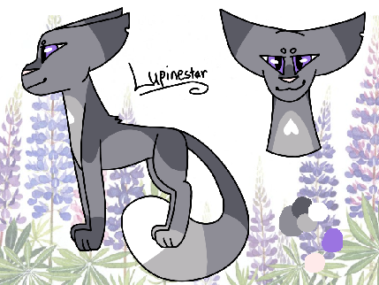 Entry for Cat C - starrynight13 