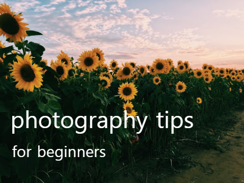 beginner photography tips 