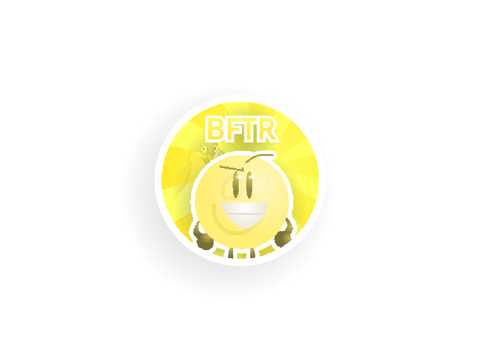bftr entry no.2