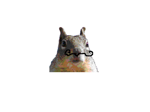 Mr. Mustache