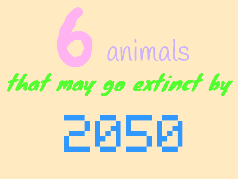 6 Animals That May Go Extinct By 2050