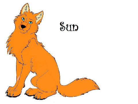 Sun