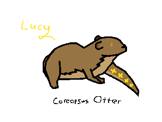 Lucy - Coreopsus Otter