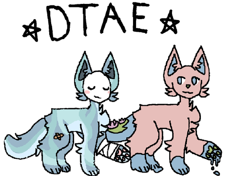 °•DTAE•°
