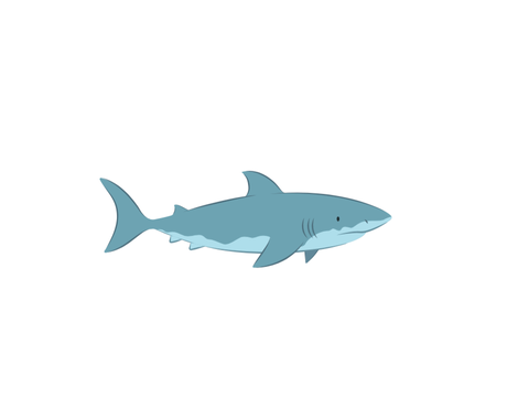 shark contest!