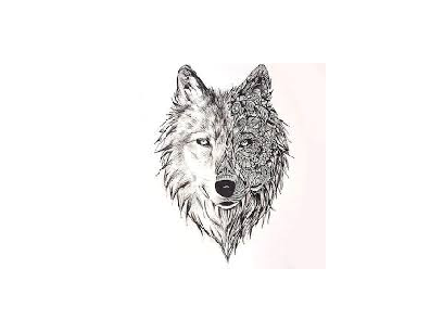 fan art for wolf