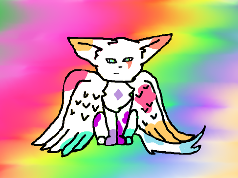 my entry