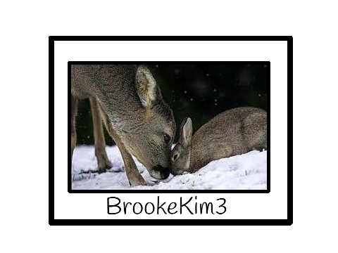 pfp for @BrookeKim3