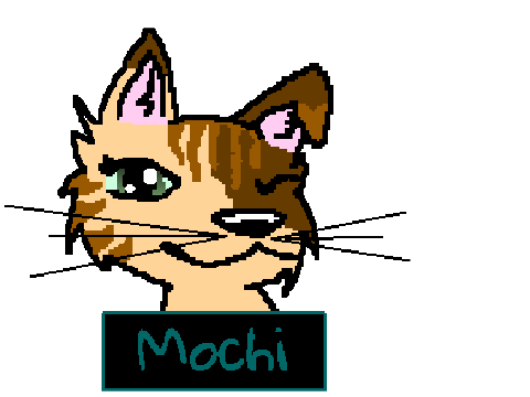 Mochi,my new OC