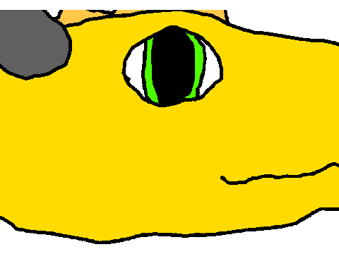 Eye Blink Loop