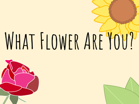 What Flower Are You?