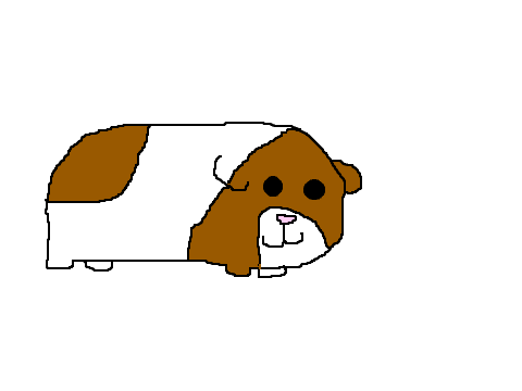 Brownie