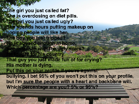 Don't bully remix