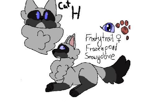 @LilyFlower-4ever // Cat H