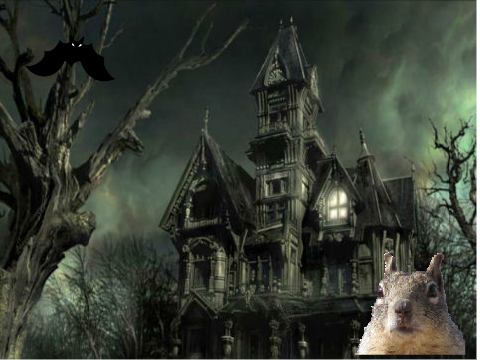 Squirrel Bat Story Template
