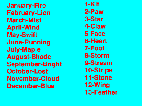 Whats your warrior cats name