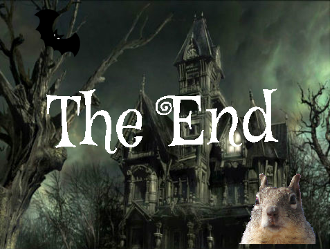 Squirrel Bat Story - Simple Version