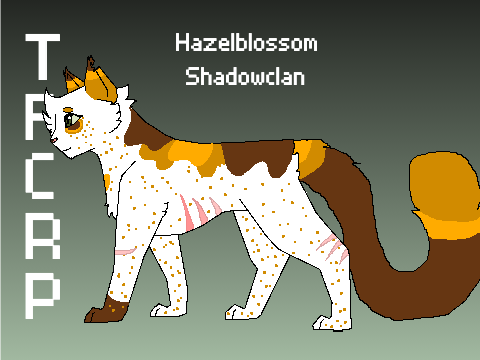 || TFCRP Ref Sheet || Hazelblossom ||