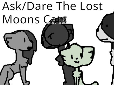 Ask / Dare The Lost Moons RP Cats