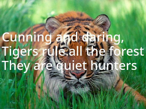 anonymousTigress's poem about tigers
