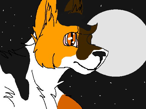 ScorchPaw of SpiritClan