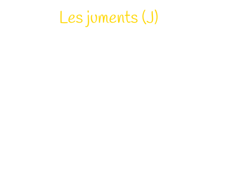 Fiche du centre équestre KAMINA remix