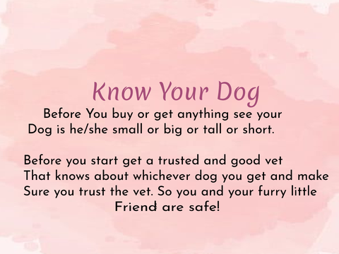 All you need to know about dog's.