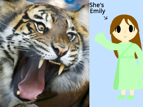 The failed bond between KittyCatClaws and the angry Tiger