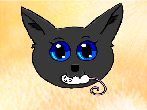 Random Drawings XD