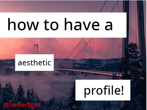 how to have a aesthetic profile!