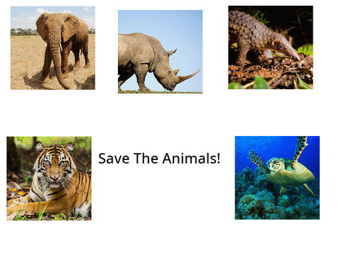 Save Animals From Facing Extinction!