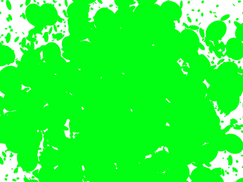 bacteria